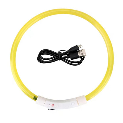 Modèle collier lumineux jaune pour chien avec câble USB noir sur fond blanc.