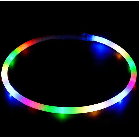 Collier lumineux multicolore pour chien allumé sur fond noir.