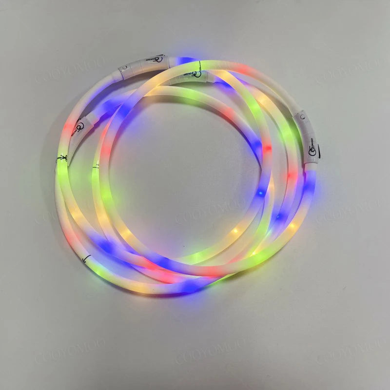 Colliers lumineux multicolores empliés pour chien allumés sur fond gris.