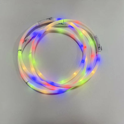 Colliers lumineux multicolores empliés pour chien allumés sur fond gris.