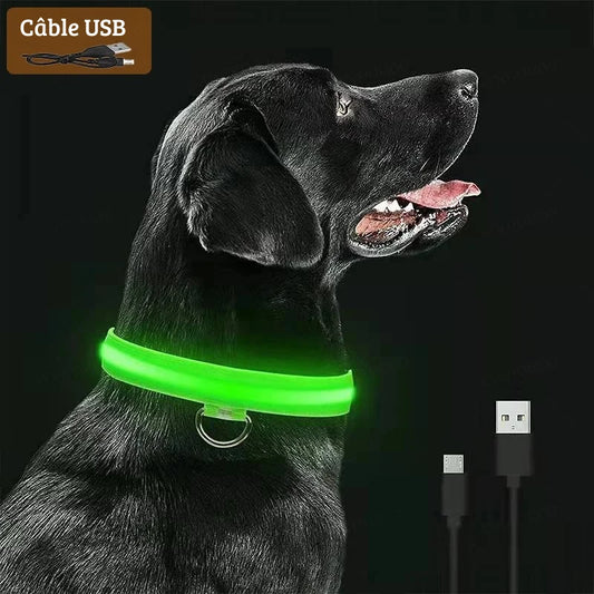 Collier noir pour chien présenté avec câble USB et détails des éléments.