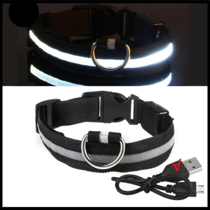 Collier noir lumineux pour chien avec câble USB sur fond noir et blanc.