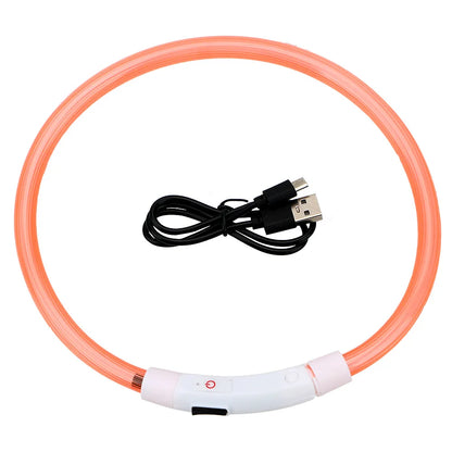 Modèle collier lumineux orange pour chien avec câble USB noir sur fond blanc.