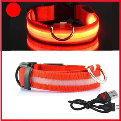 Collier orange lumineux pour chien avec câble USB sur fond noir et blanc.