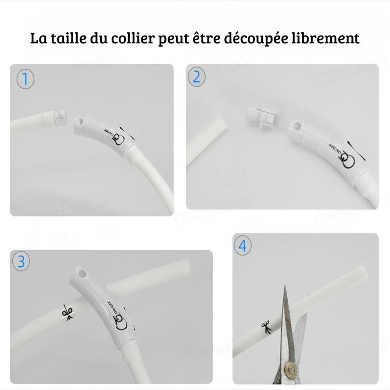 Guide en quatre étapes montrant comment couper un collier lumineux pour chien.