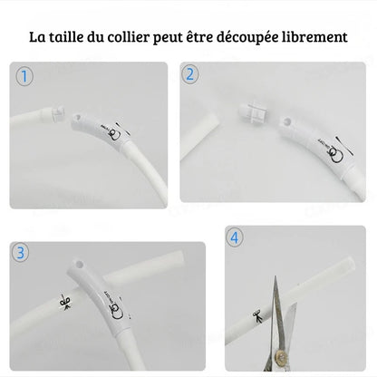 Guide en quatre étapes montrant comment couper un collier lumineux pour chien.