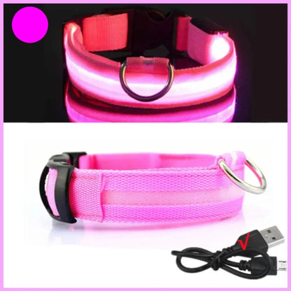 Collier rose lumineux pour chien avec câble USB sur fond noir et blanc.