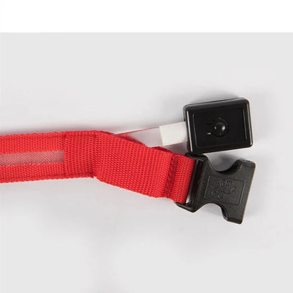 Détail d’un collier rouge pour chien avec boîtier lumineux noir.