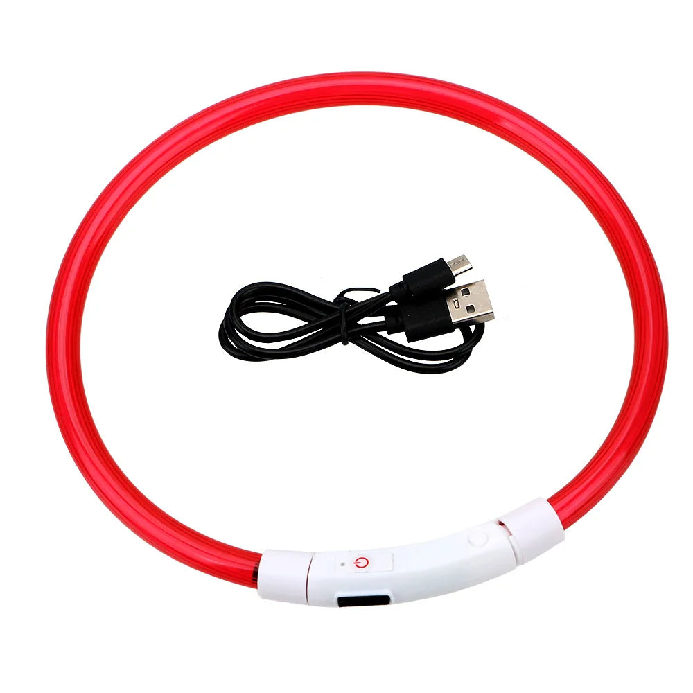 Modèle collier lumineux rouge pour chien avec câble USB noir sur fond blanc.