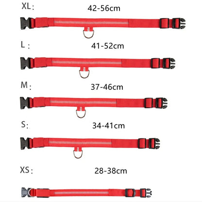 Guide des tailles d’un collier rouge pour chien du XS au XL.