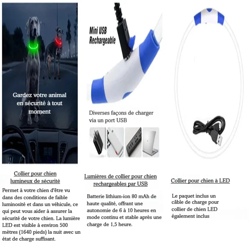 Visuel de présentation d’un collier lumineux USB pour chien avec câble, recharge et chien la nuit.