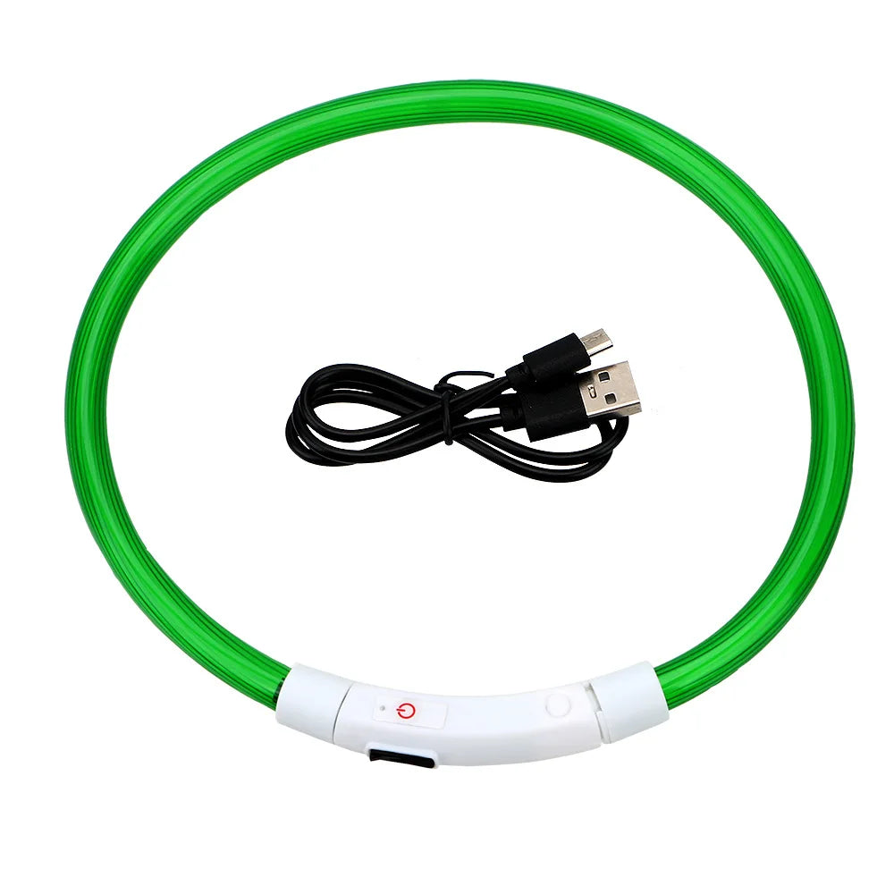 Modèle collier lumineux vert pour chien avec câble USB noir sur fond blanc.