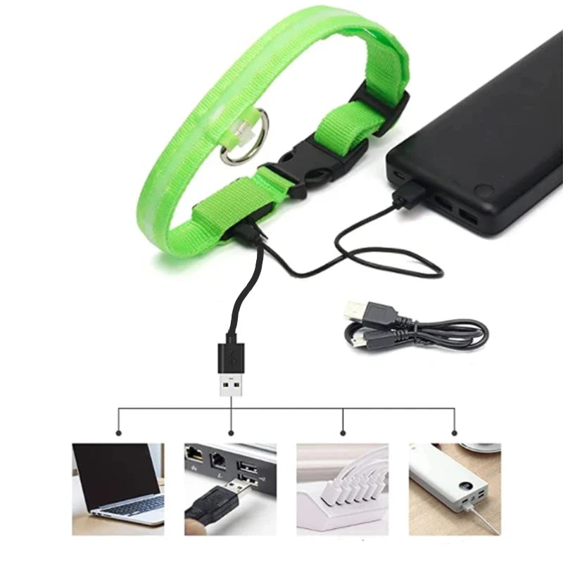 Collier lumineux vert pour chien branché à une batterie externe.