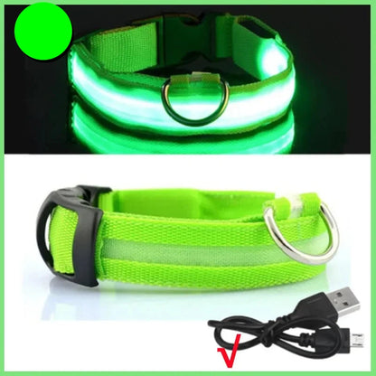 Collier vert lumineux pour chien avec câble USB sur fond noir et blanc.