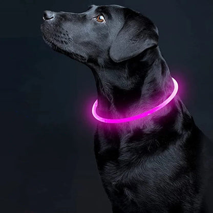 Chien noir portant le collier lumineux rose allumé en plastique réglable sur fond sombre.