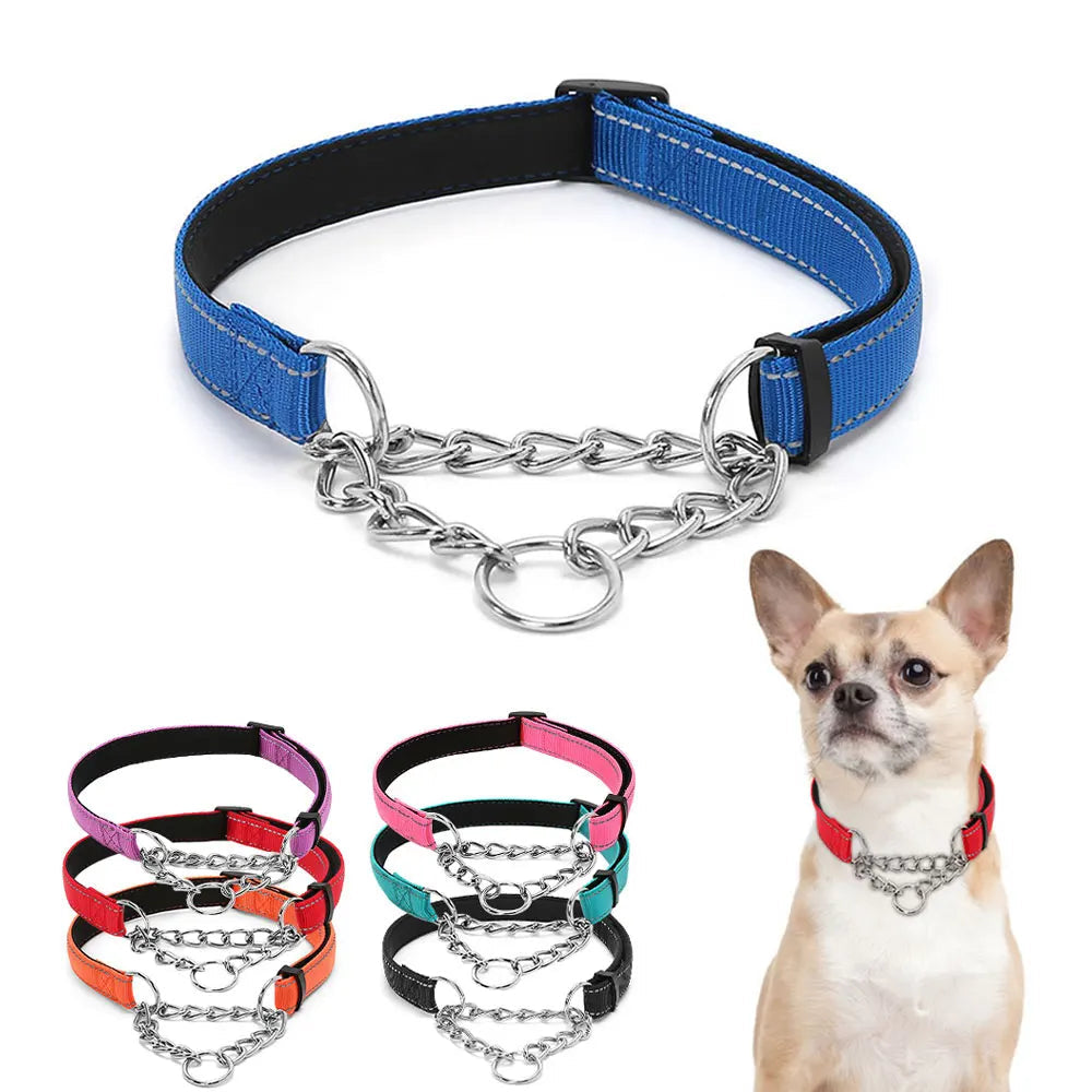 Collier martingale bleu présenté avec plusieurs coloris et un petit chien portant un modèle rouge.