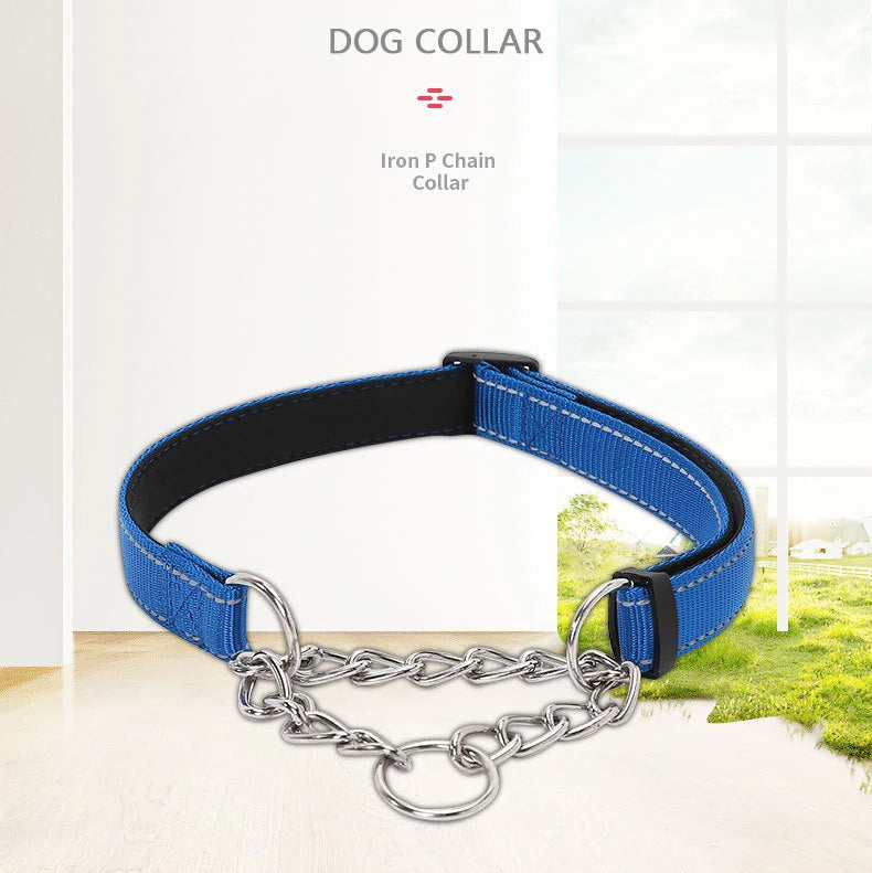 Collier martingale bleu pour chien avec chaîne inox devant une fenêtre et sur fond intérieur clair.