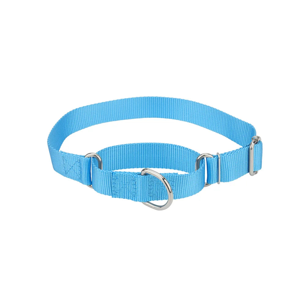 Collier martingale pour chien en nylon bleu clair présenté sur fond clair.
