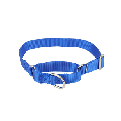 Collier martingale pour chien en nylon bleu présenté sur fond clair.