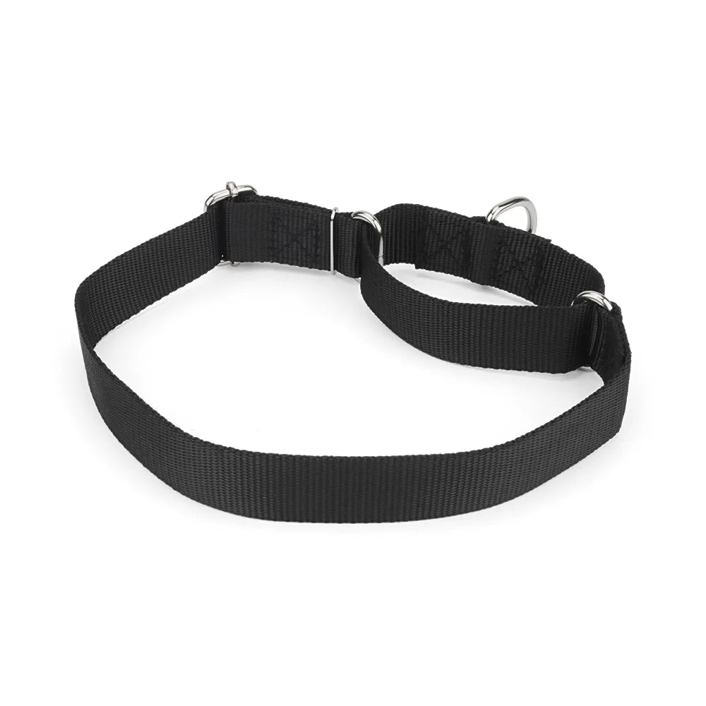 Collier martingale pour chien en nylon noir présenté sur fond clair et vue de dos.