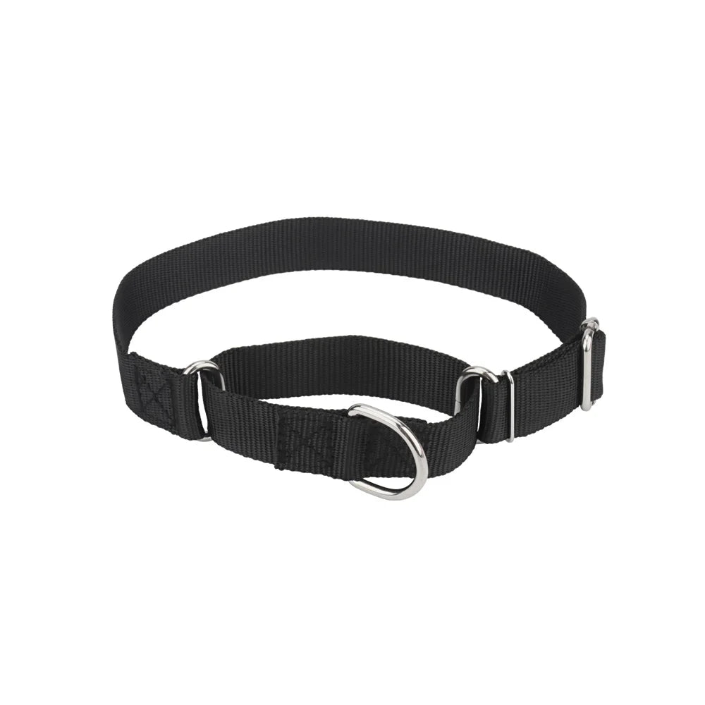 Collier martingale pour chien en nylon noir présenté sur fond clair.