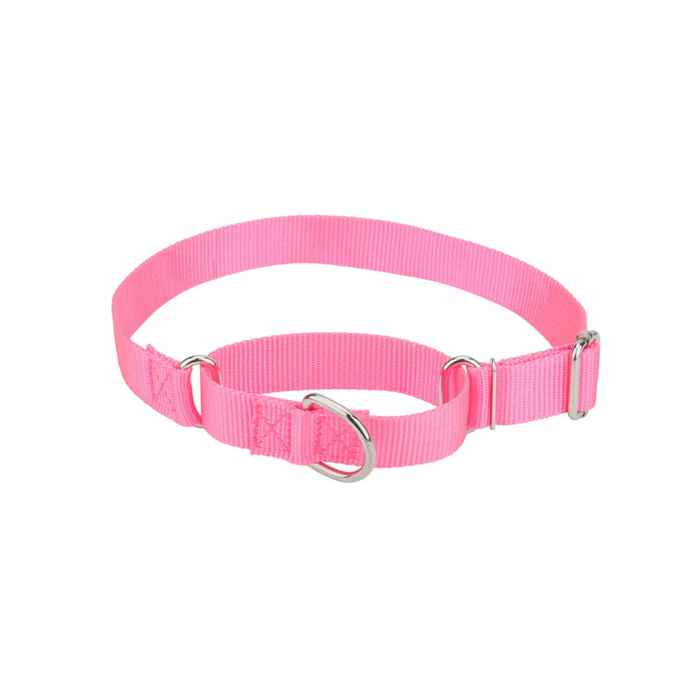 Collier martingale pour chien en nylon rose foncé présenté sur fond clair.