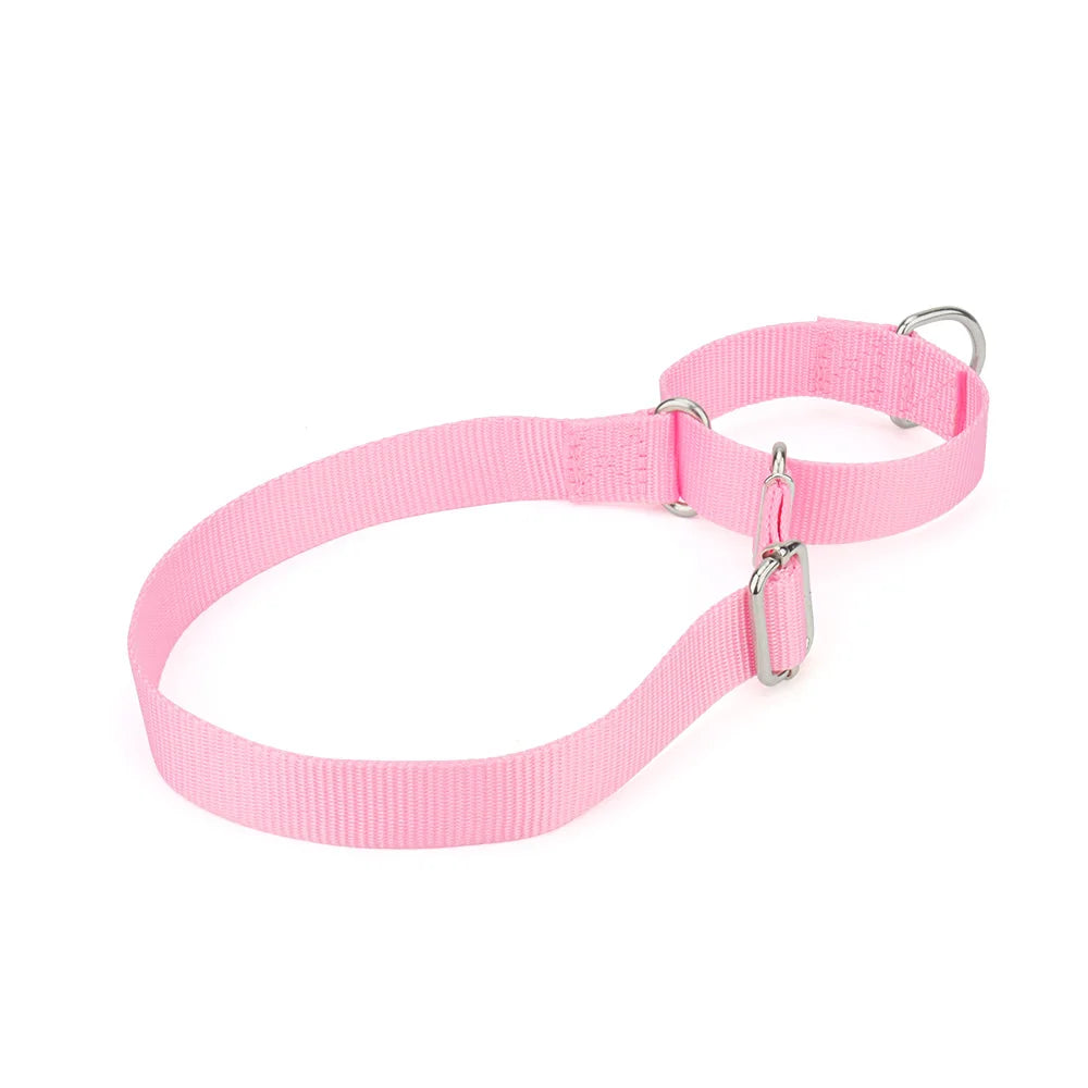 Collier martingale pour chien en nylon rose présenté sur fond clair et vue de dos.