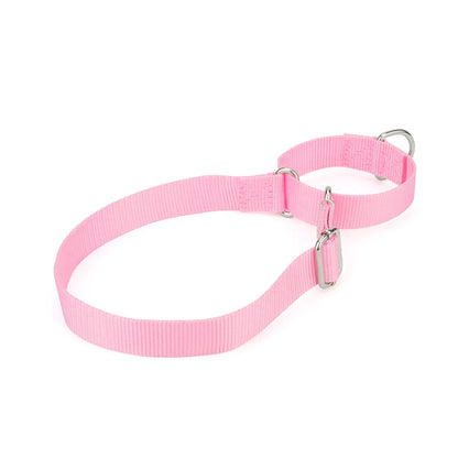 Collier martingale pour chien en nylon rose présenté sur fond clair et vue de dos.
