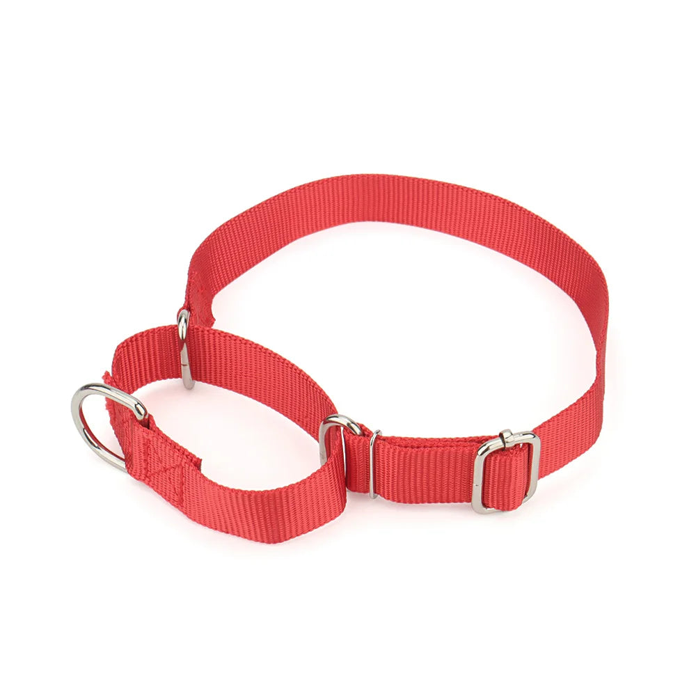 Collier martingale pour chien en nylon rouge présenté sur fond clair et vue de haut.