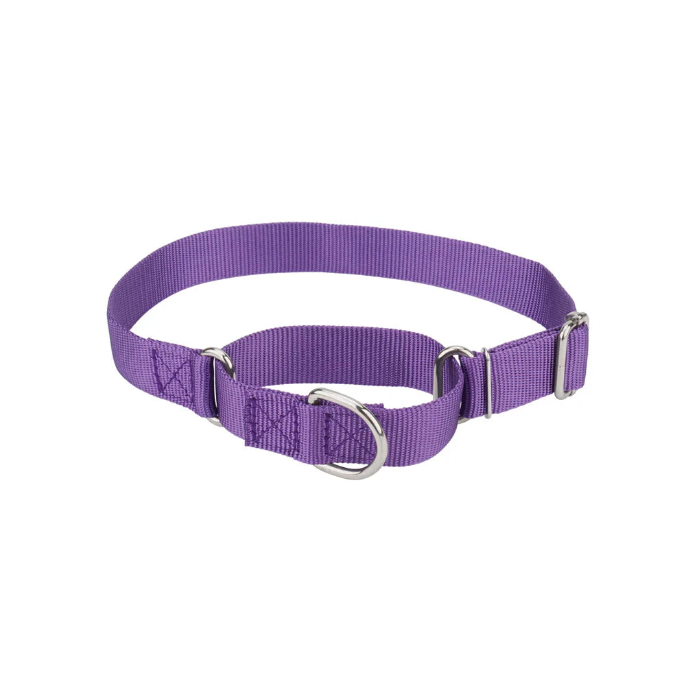 Collier martingale pour chien en nylon violet présenté sur fond clair.