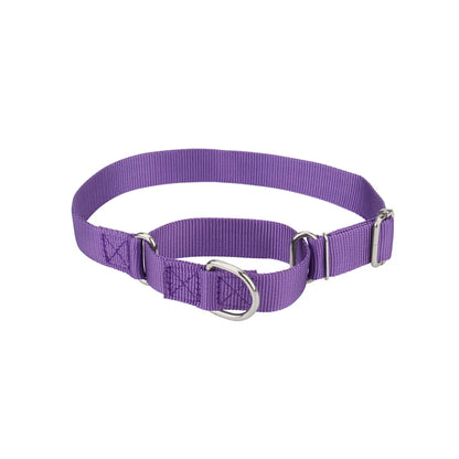 Collier martingale pour chien en nylon violet présenté sur fond clair.