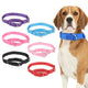 Collier martingale pour chien présenté en plusieurs couleurs avec visuel porté sur un chien.