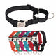 Collier martingale personnalisé noir pour chien avec aperçu des différents coloris disponibles en dessous sur fond blanc.