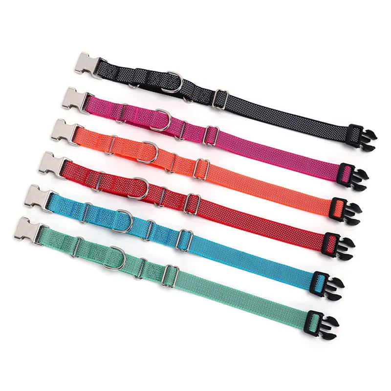 Colliers martingale personnalisés pour chien disponibles en plusieurs couleurs présentés à plat sur fond blanc.
