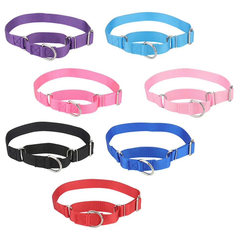 Présentation de plusieurs modèles colorés de collier martingale réglable sur fond blanc.