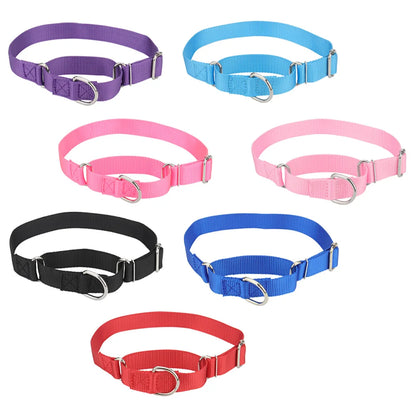 Présentation de plusieurs modèles colorés de collier martingale réglable sur fond blanc.