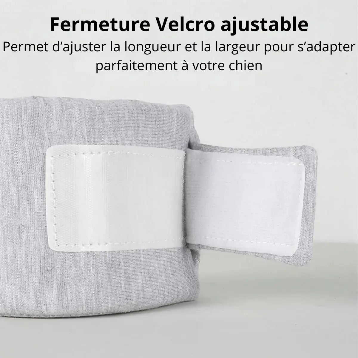 Détail de la fermeture Velcro ajustable du collier médical de maintien du cou pour chien