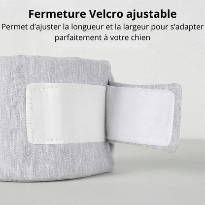 Détail de la fermeture Velcro ajustable du collier médical de maintien du cou pour chien