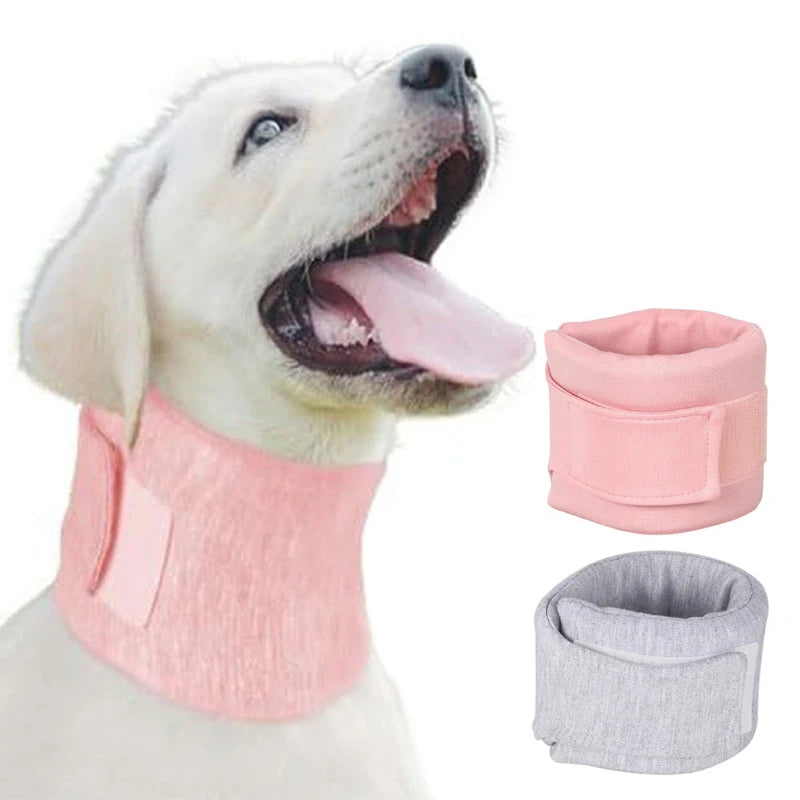 Chien portant un collier médical de maintien du cou rose, avec deux modèles présentés à côté
