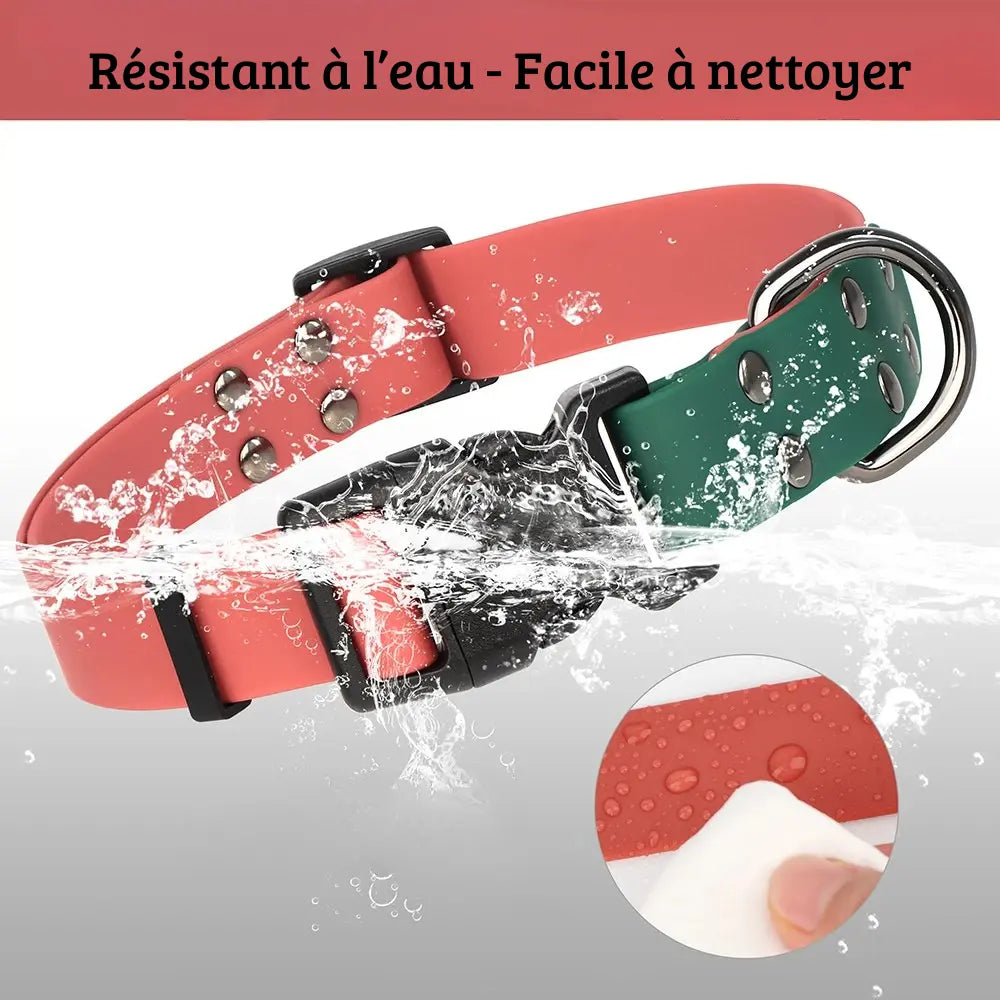 Visuel de collier de nage pour chien en PVC bicolore waterproof et facile à nettoyer.