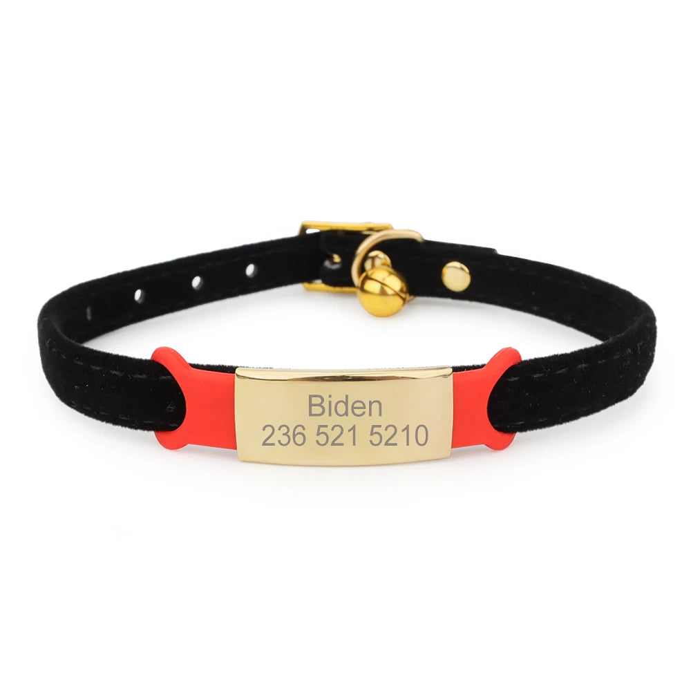 Collier noir avec étiquette rouge et plaque dorée personnalisée à l’avant visible sur fond clair.