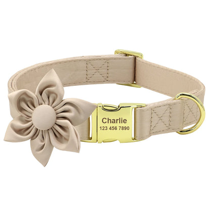 Collier pour chien beige présenté avec une fleur décorative amovible et plaque personnalisée.