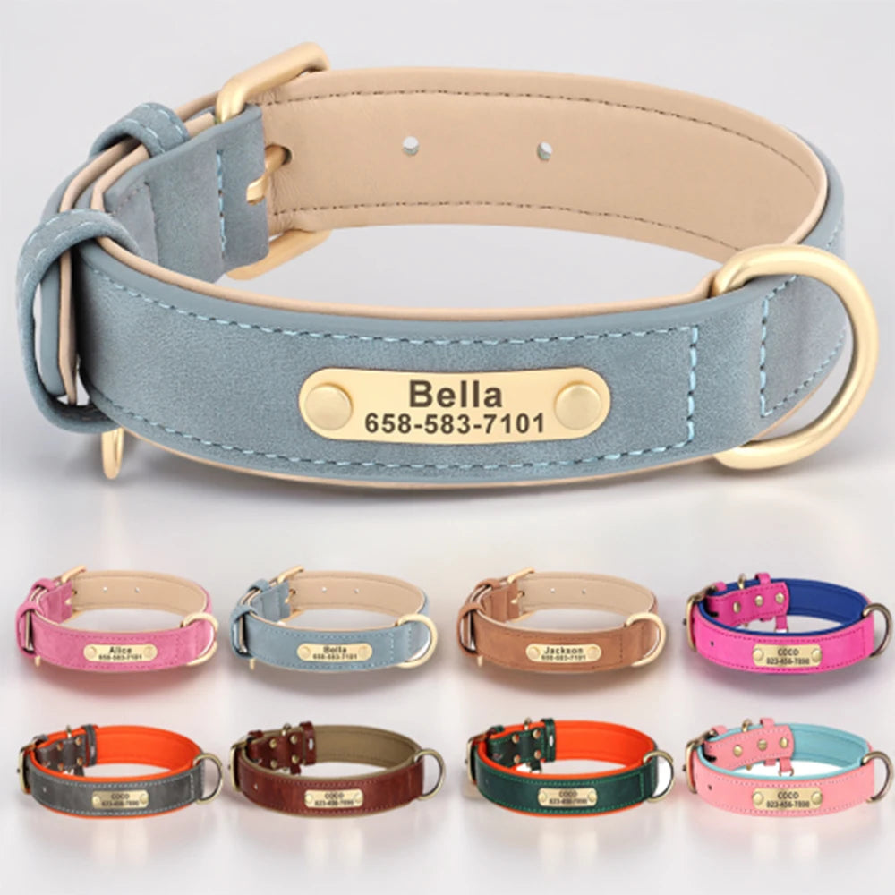 Collier personnalisé bleu clair pour chien en cuir PU avec plaque dorée et déclinaisons de couleurs.