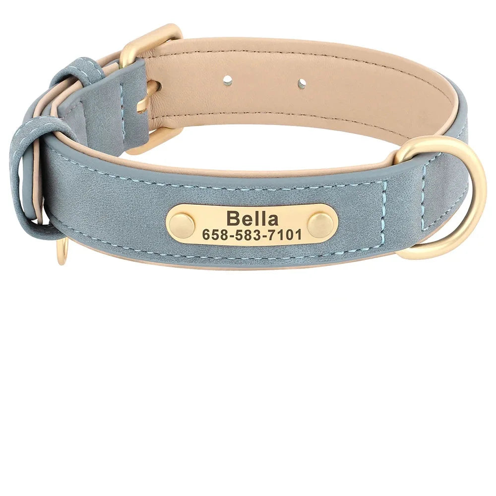Collier personnalisé bleu clair pour chien en cuir PU avec plaque dorée et déclinaisons de couleurs.