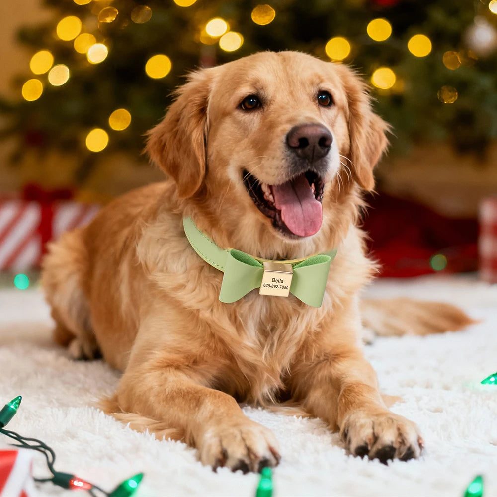 Golden Retriever portant un collier personnalisé vert en cuir PU avec nœud papillon central et plaque gravée