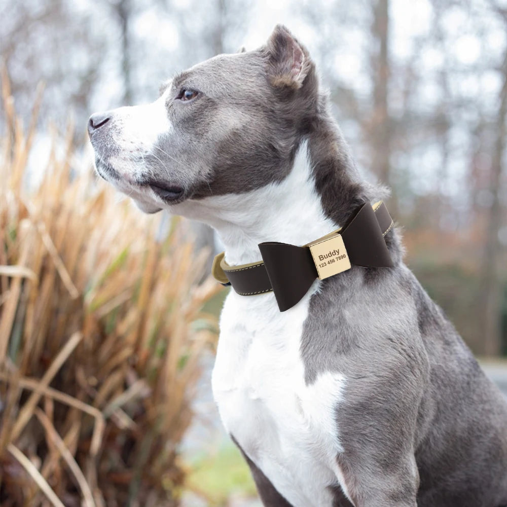 Chien portant un collier personnalisé marron en cuir PU avec nœud papillon central et plaque gravée