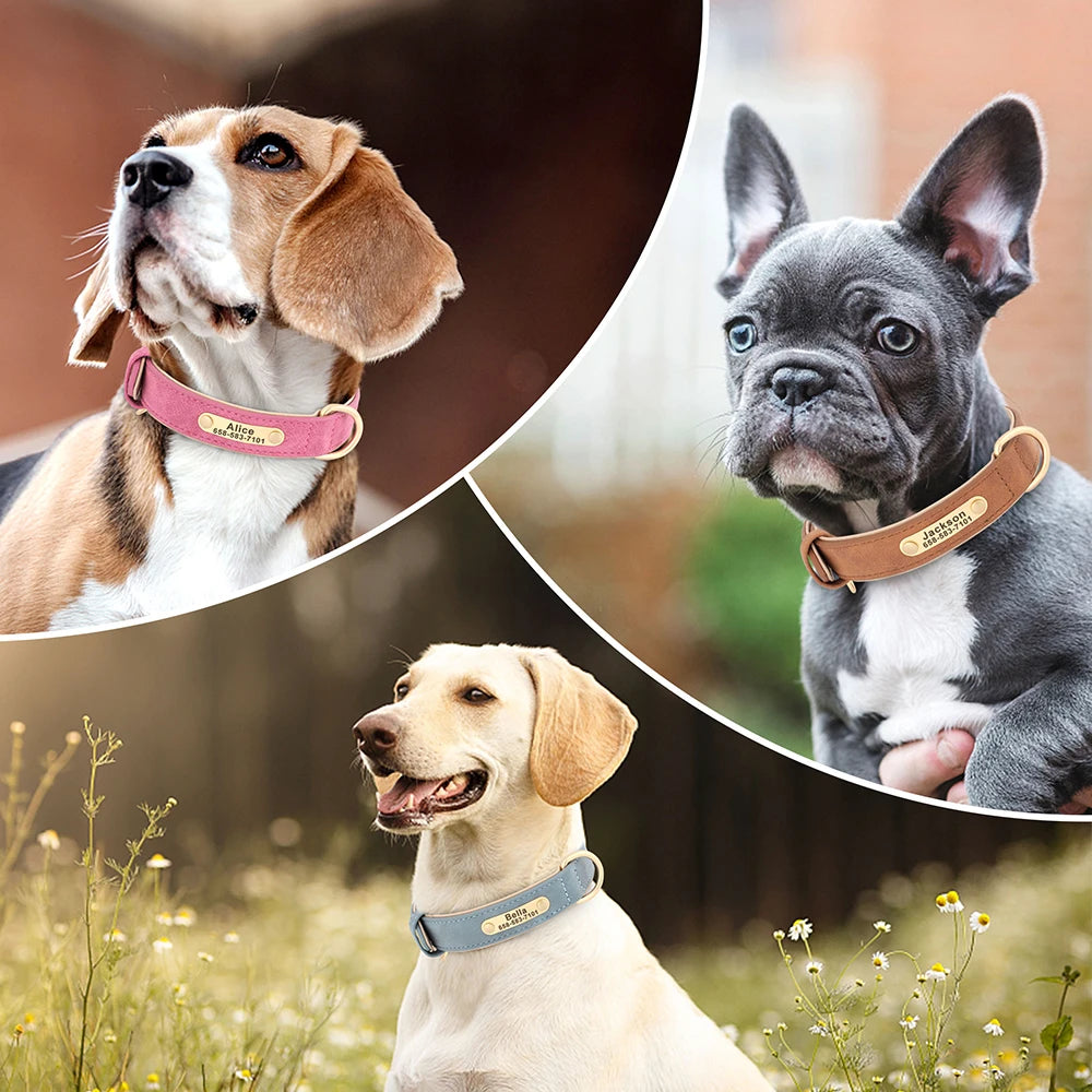 Colliers personnalisés en cuir PU portés par plusieurs chiens de différentes tailles.