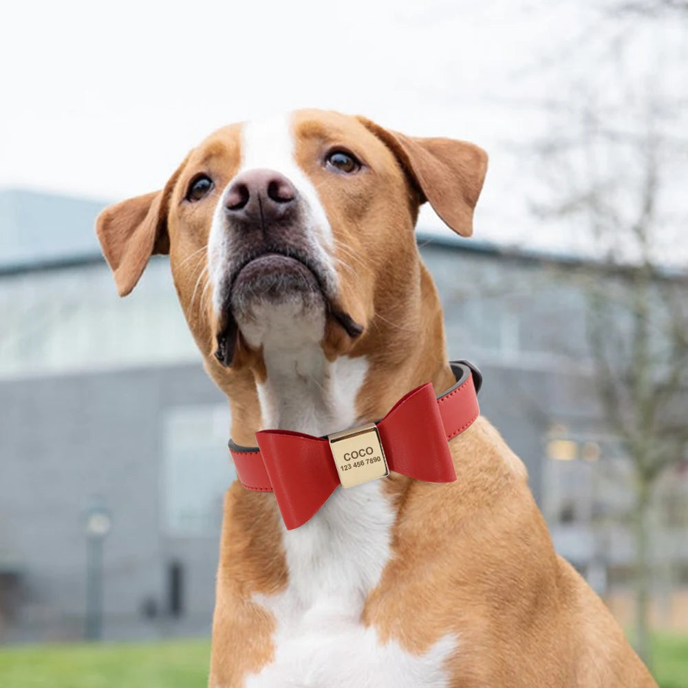 Chien portant un collier personnalisé rouge en cuir PU avec nœud papillon central et plaque gravée