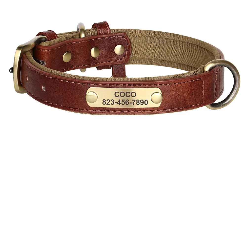 Collier personnalisé marron pour chien en cuir PU avec plaque dorée et guide des tailles XS à XL.
