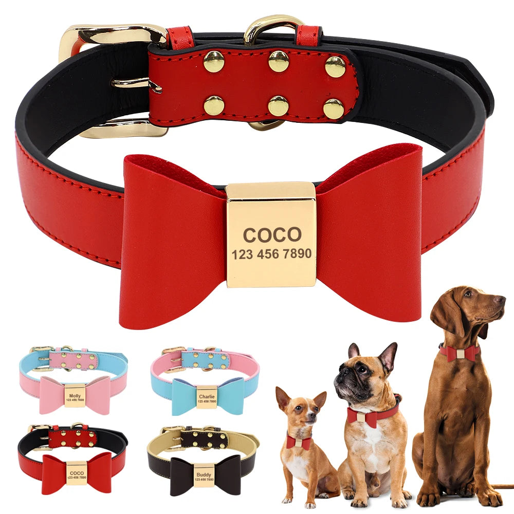 Collier personnalisé rouge pour chien avec miniatures des coloris et exemples portés sur plusieurs chiens